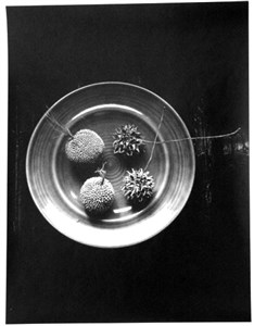 Image description is not available for 1997.038